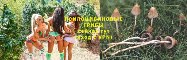 ПСИЛОЦИБИНОВЫЕ ГРИБЫ Заволжск