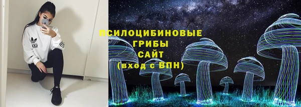 спиды Заводоуковск