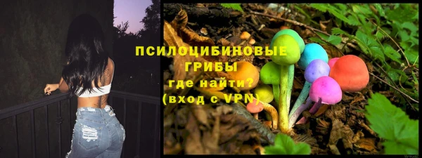 не бодяженный Елабуга