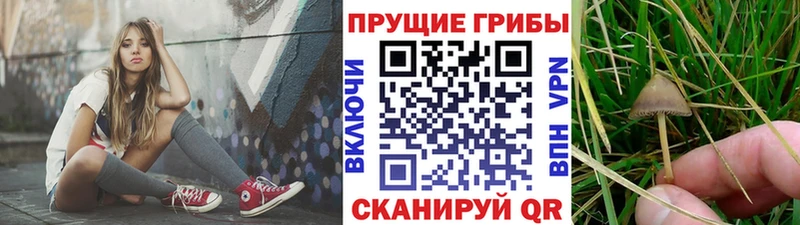 Купить  Зеленокумск  Псилоцибиновые грибы мухоморы 